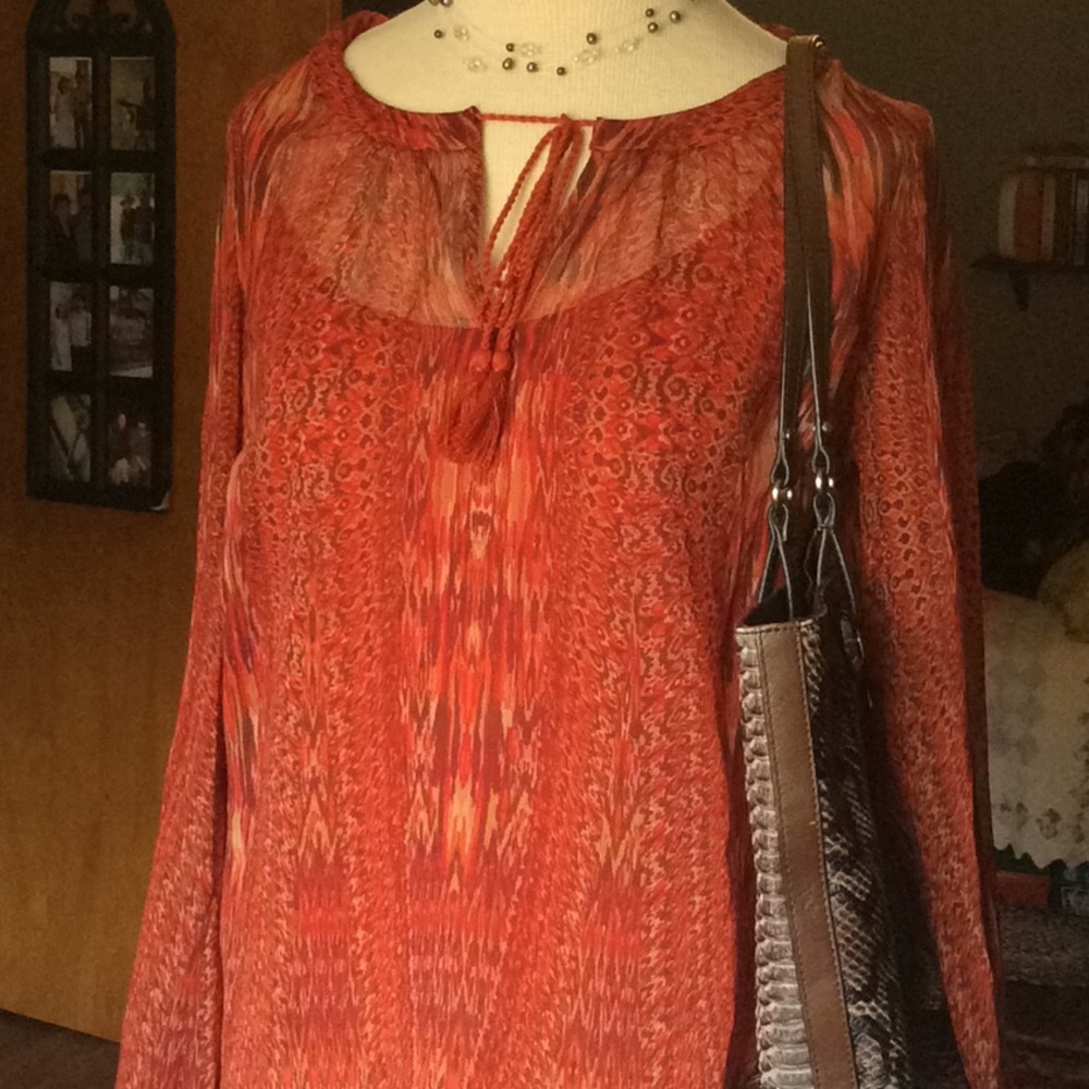 Rose & Olive Shear Tunic with built in Camisole!